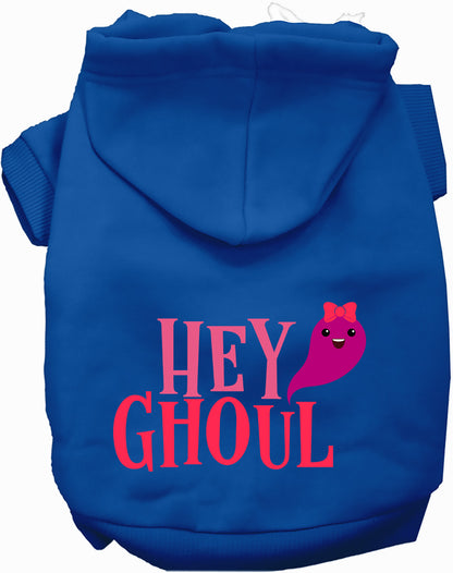 Blue Hey Ghoul pet hoodie with cute ghost design