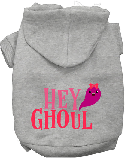 Gray Hey Ghoul pet hoodie with cute ghost design