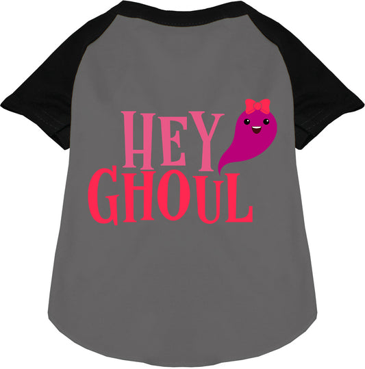 Gray Hey Ghoul Pet Raglan Shirt with black sleeves