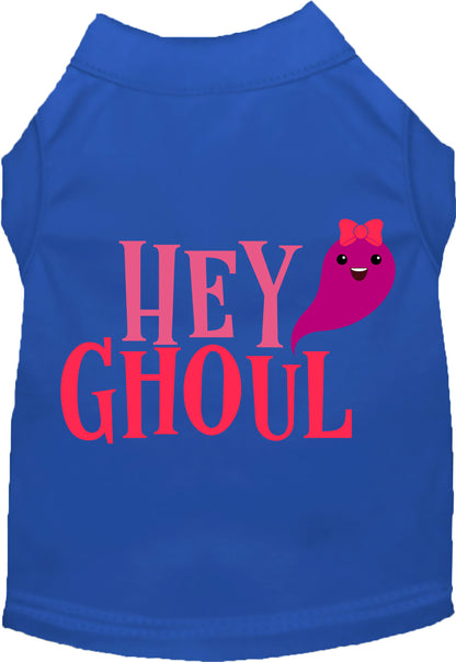 Royal blue Hey Ghoul pet shirt with cute ghost design