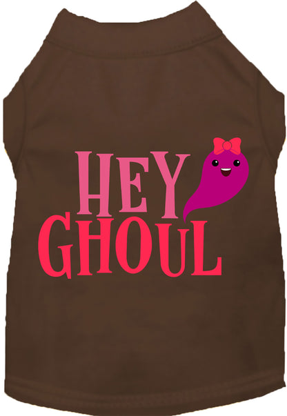 Brown Hey Ghoul pet shirt with cute ghost design