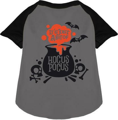 Black-sleeved Hocus Pocus pet raglan shirt with cauldron design