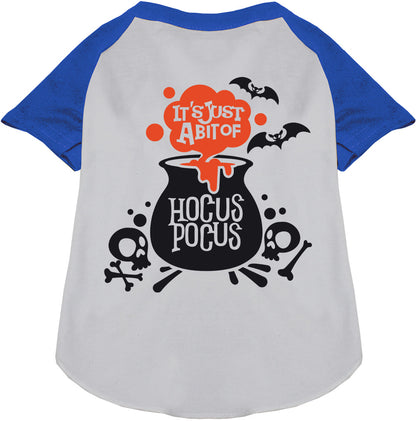 Blue-sleeved Hocus Pocus pet raglan shirt with cauldron design