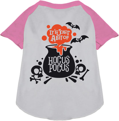 Light pink-sleeved Hocus Pocus pet raglan shirt with cauldron design