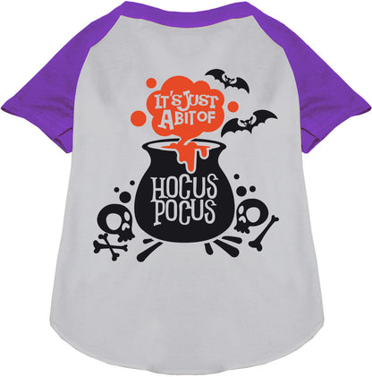 Purple-sleeved Hocus Pocus pet raglan shirt with cauldron design