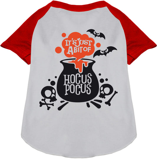 Red-sleeved Hocus Pocus pet raglan shirt with cauldron design