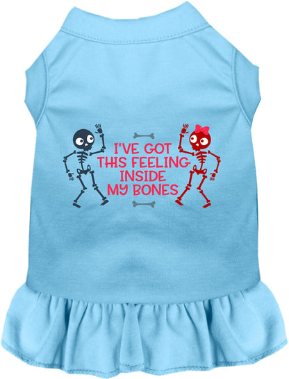 Blue pet dress with skeleton design and text