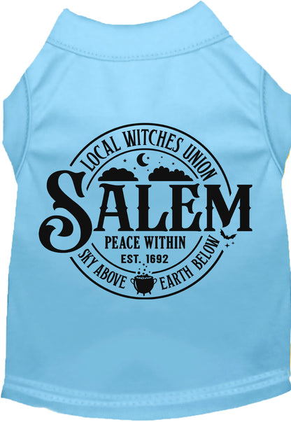 Blue Salem Witches Union pet shirt