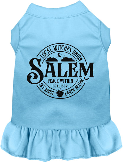 Blue Salem Witches Union pet dress with ruffled skirt