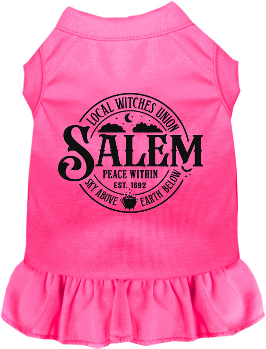 Pink Salem Witches Union pet dress with ruffled skirt