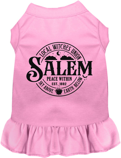 Light pink Salem Witches Union pet dress with ruffled skirt