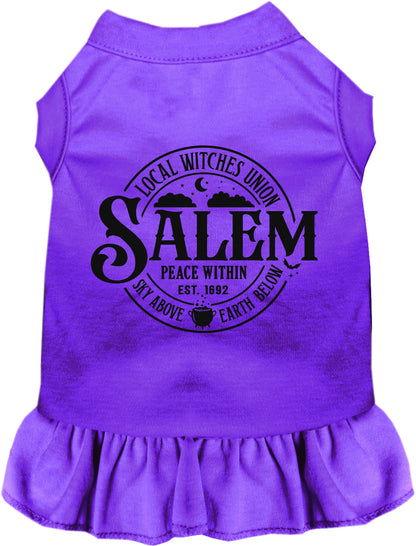 Purple Salem Witches Union pet dress with ruffled skirt