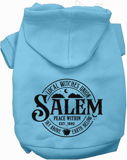 Light blue Salem Witches Union pet hoodie