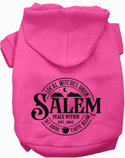 Pink Salem Witches Union pet hoodie