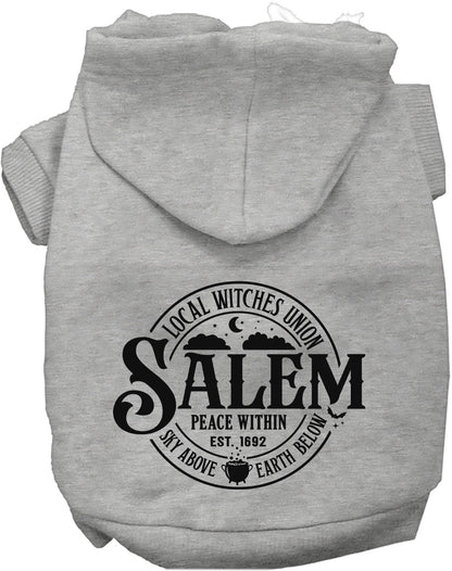 Gray Salem Witches Union pet hoodie