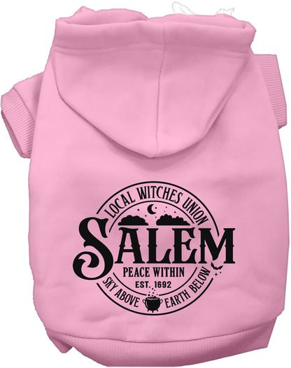 Light pink Salem Witches Union pet hoodie