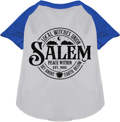 Blue Salem Witches Union pet raglan shirt