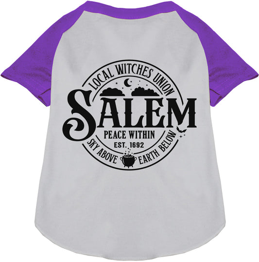 Purple Salem Witches Union pet raglan shirt