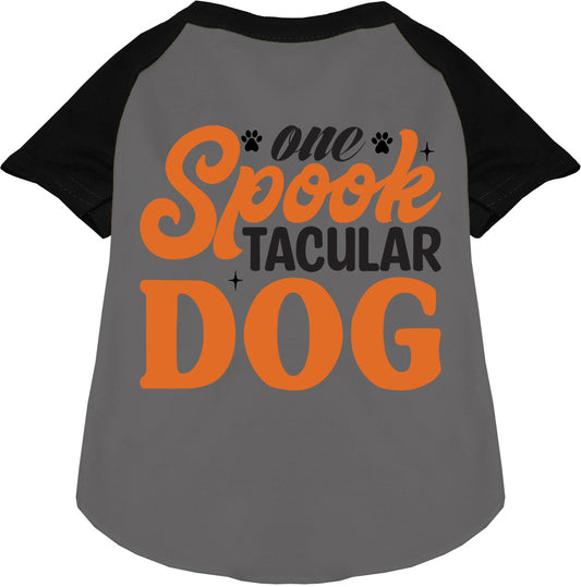 Gray Spooktacular Dog Raglan Shirt