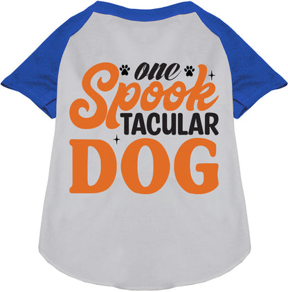 Blue Spooktacular Dog Raglan Shirt