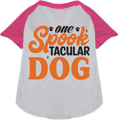 Pink Spooktacular Dog Raglan Shirt