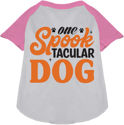 Light Pink Spooktacular Dog Raglan Shirt