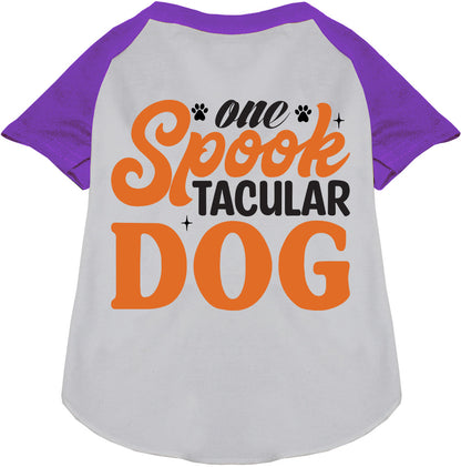 Purple Spooktacular Dog Raglan Shirt