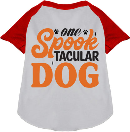 Red Spooktacular Dog Raglan Shirt