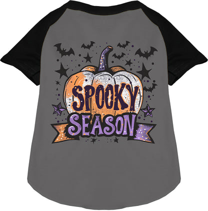 Batty Spooky Season Pet Raglan Shirt