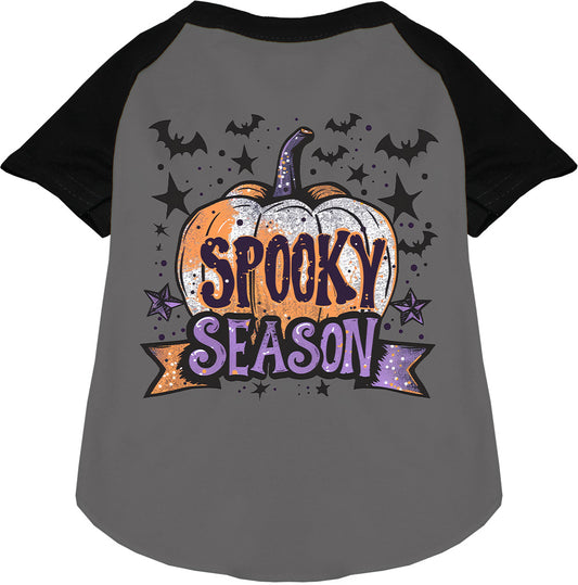 Batty Spooky Season Pet Raglan Shirt