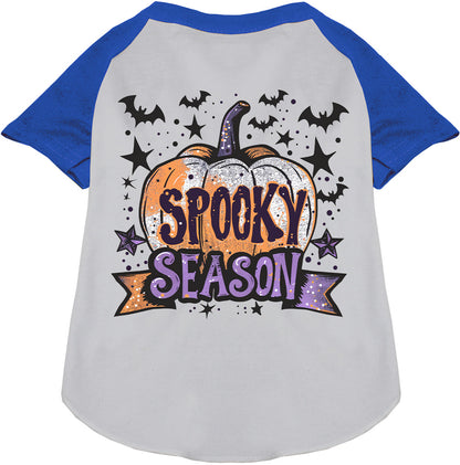 Batty Spooky Season Pet Raglan Shirt