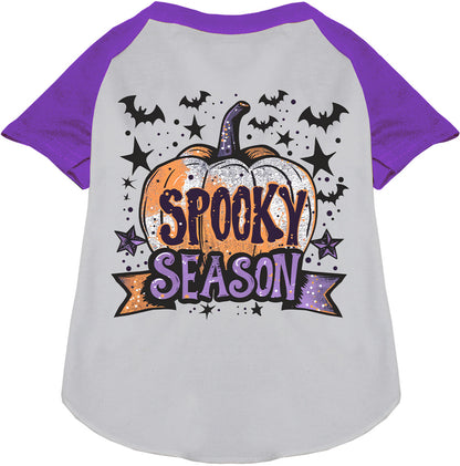 Batty Spooky Season Pet Raglan Shirt