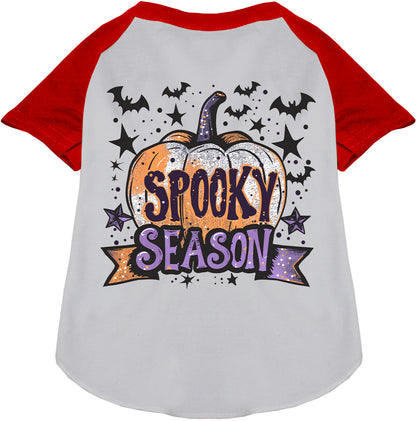 Batty Spooky Season Pet Raglan Shirt