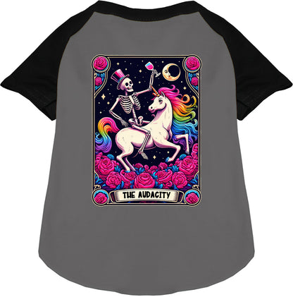 Black-sleeved pet raglan shirt with skeleton and unicorn design