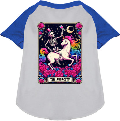 Blue-sleeved pet raglan shirt with skeleton and unicorn design