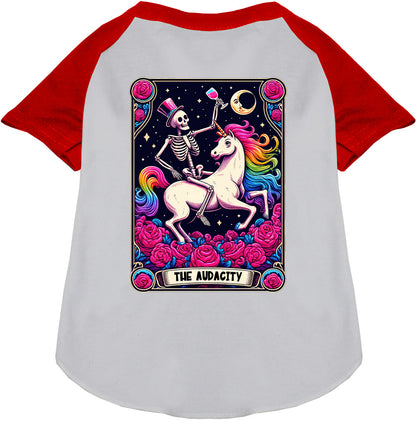 Red-sleeved pet raglan shirt with skeleton and unicorn design