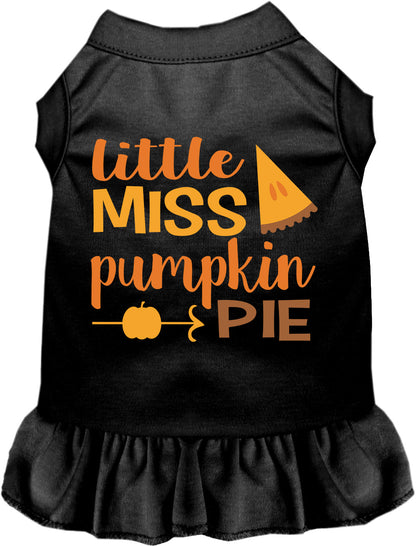 Black Little Miss Pumpkin Pie pet dress with orange text