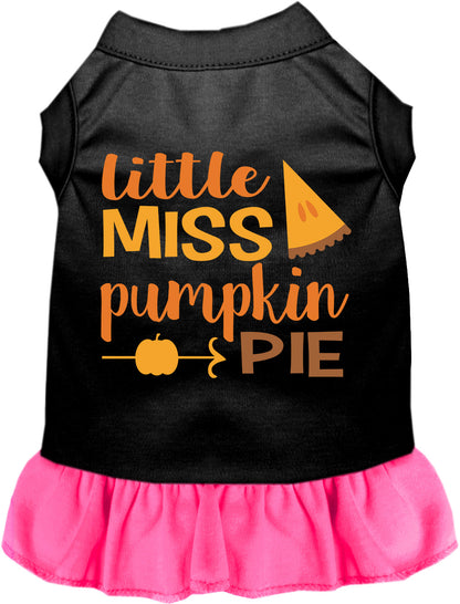 Black pet dress with pink skirt, Little Miss Pumpkin Pie design