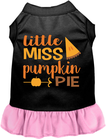 Black pet dress with light pink skirt, Little Miss Pumpkin Pie design