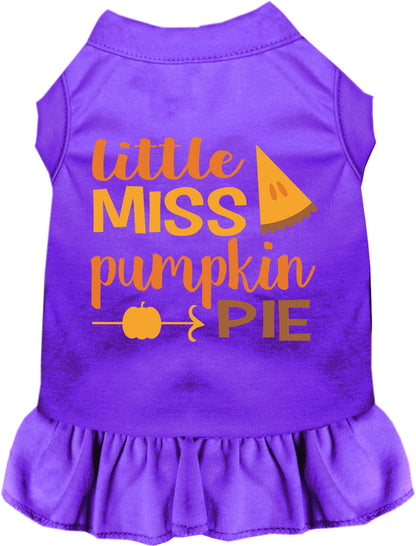 Purple Little Miss Pumpkin Pie pet dress with orange text