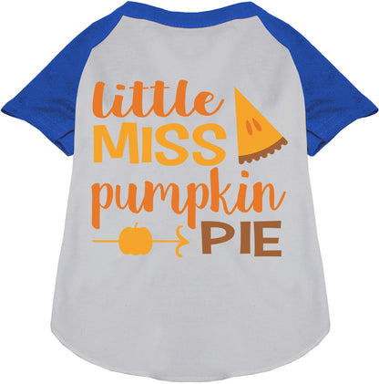 Blue Little Miss Pumpkin Pie pet raglan shirt