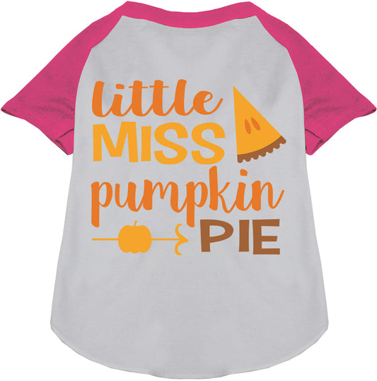 Pink Little Miss Pumpkin Pie pet raglan shirt