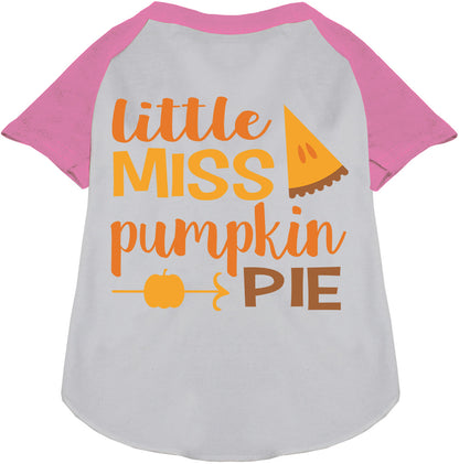 Light pink Little Miss Pumpkin Pie pet raglan shirt