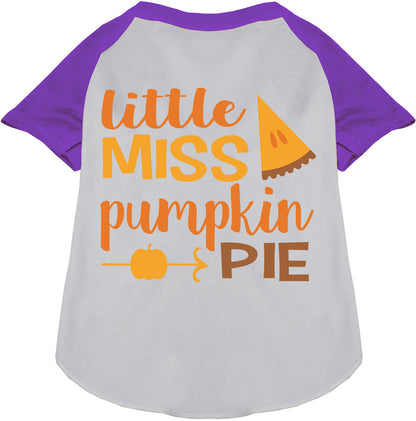 Purple Little Miss Pumpkin Pie pet raglan shirt