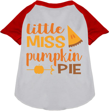 Red Little Miss Pumpkin Pie pet raglan shirt