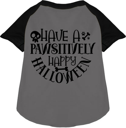 Black Halloween pet raglan shirt with festive design