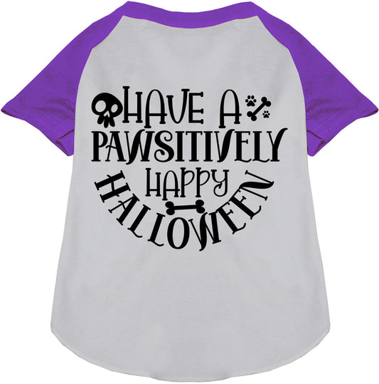 Purple Halloween pet raglan shirt with festive design