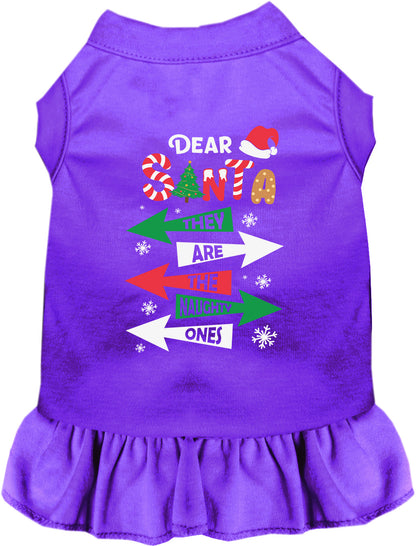 Purple pet dress with 'They're the Naughty Ones' design