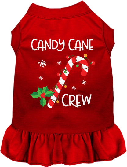 Candy Cane Crew Pet Dress