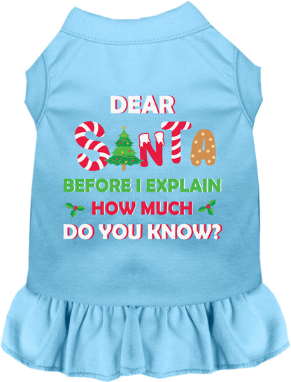 Light blue pet dress with 'Dear Santa' festive text